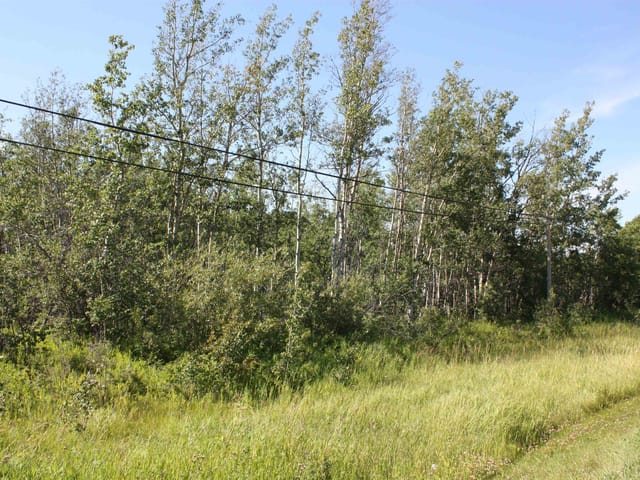 Lot for sale in Fort St. John, Fort St. John, Lot 2 Rose Prairie Road, 263143767 | Realtylink.org