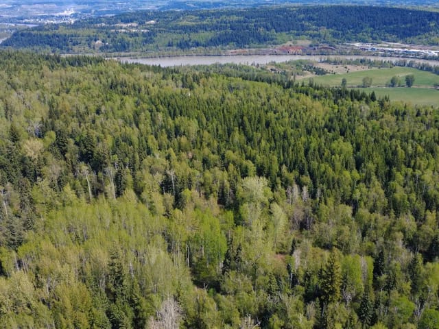 Lot for sale in Quesnel, Quesnel, 1365 Francess Drive, 263144864 | Realtylink.org