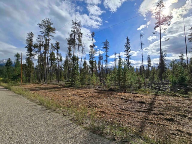 Lot for sale in Valemount, Robson Valley, 2350 Bailey Road, 263146070 | Realtylink.org