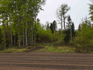 Lot for sale in Lac La Hache, 100 Mile House, 2954 Spout Lake Road, 263146114 | Realtylink.org
