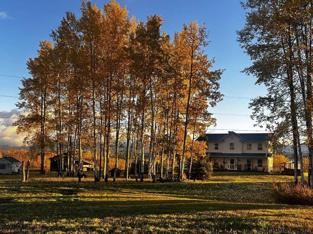House for sale in Smithers, Smithers And Area, 2654 Stenset Road, 263146128 | Realtylink.org