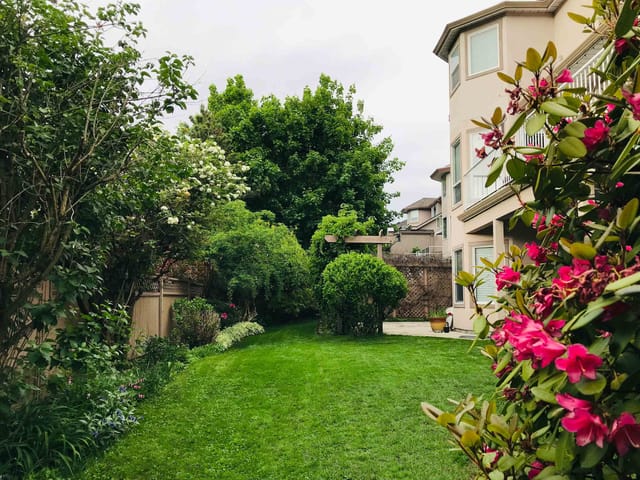 House for rent in Surrey, Surrey, 15422 78a Ave, 263146309 | Realtylink.org