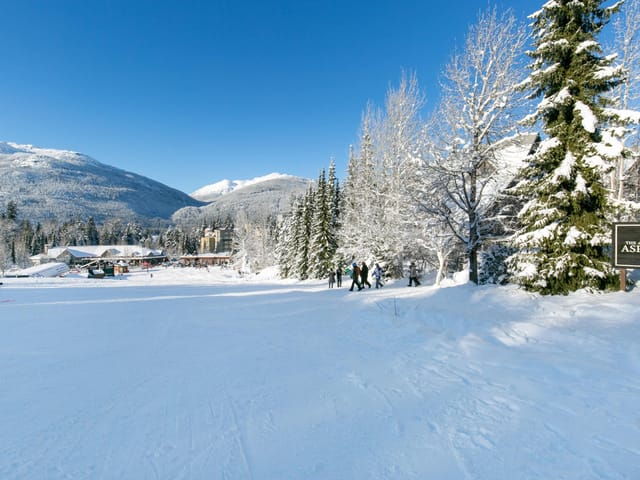 Apartment for sale in Whistler, Whistler, 562 4800 Spearhead Drive, 263146621 | Realtylink.org