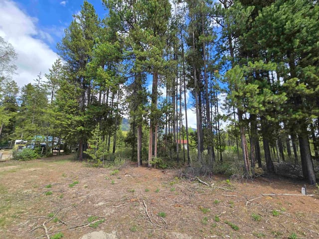 Lot for sale in Valemount, Robson Valley, 1406 Bruce Place, 263147312 | Realtylink.org