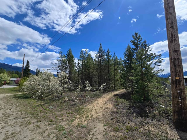 Lot for sale in Valemount, Robson Valley, 1025 9th Avenue, 263147327 | Realtylink.org