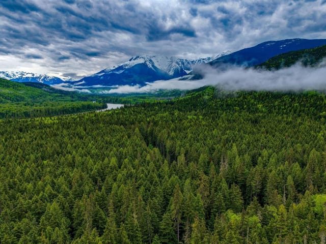 Lot for sale in Terrace, Terrace, Dl4772 Skeena River, 263147622 | Realtylink.org