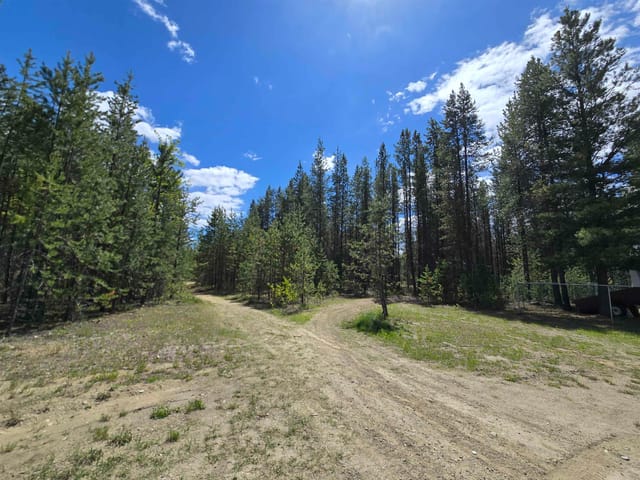 Lot for sale in Valemount, Robson Valley, 808 Beaven Crescent, 263147864 | Realtylink.org