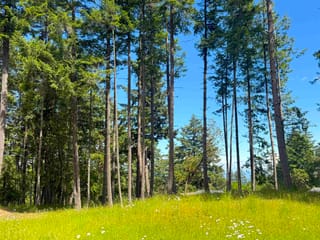 Lot for sale in Galiano Island, Islands-Van. & Gulf, 448 Burrill Road, 263148571 | Realtylink.org