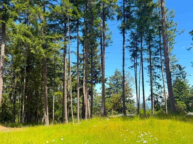 Lot for sale in Galiano Island, Islands-Van. & Gulf, 448 Burrill Road, 263148571 | Realtylink.org