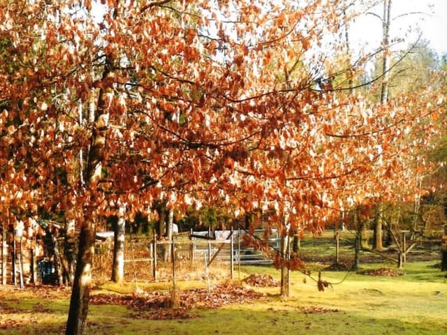Lot for sale in Mission, Mission, 32017 & 32107 14 Avenue, 263149319 | Realtylink.org