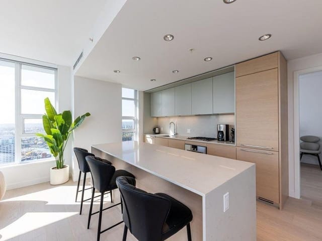 Apartment for rent in Vancouver, Vancouver West, 370X 1289 Hornby Street, 263149681 | Realtylink.org