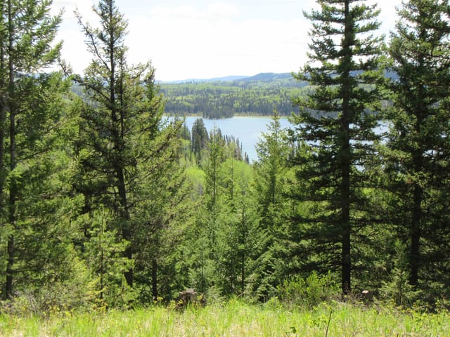 Recreational Property for sale in Bridge Lake, 100 Mile House, Lot 4 N Bonaparte Road, 263149759 | Realtylink.org