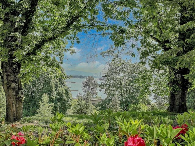 Apartment for sale in New Westminster, New Westminster, 123 22 East Royal Avenue, 263150089 | Realtylink.org