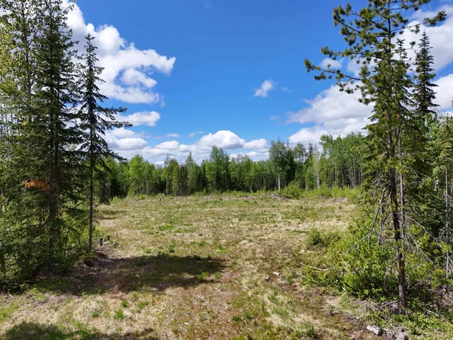 Lot for sale in Quesnel, Quesnel, 3880 Birch Hill Road, 263150130 | Realtylink.org