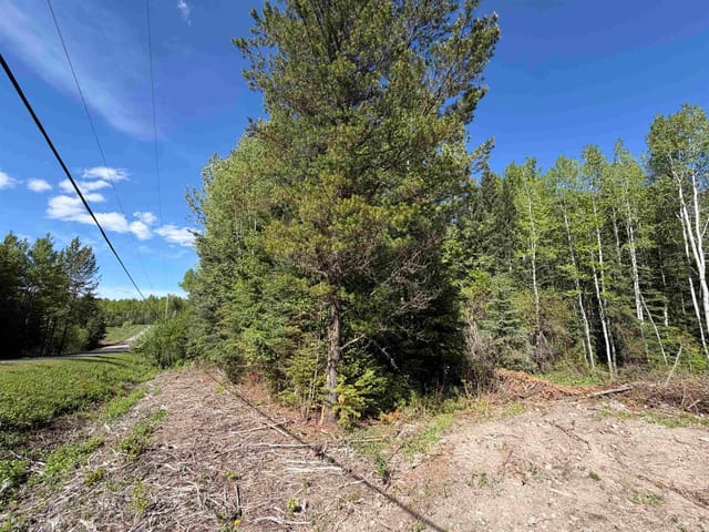 Lot for sale in Shelley, PG Rural East, Lot B Eagleview Road, 263150270 | Realtylink.org