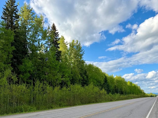 Lot for sale in Prince George, PG City North, 10133 Hart Hwy, 263150752 | Realtylink.org