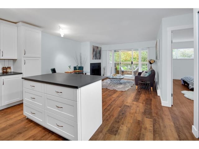 Apartment for rent in Coquitlam, Coquitlam, 218 932 Robinson Street, 263150849 | Realtylink.org