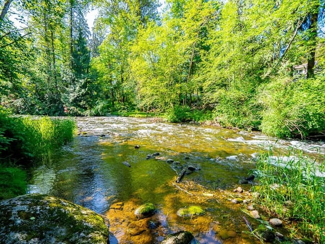 House for sale in Maple Ridge, Maple Ridge, 23942 Fern Crescent, 263151164 | Realtylink.org