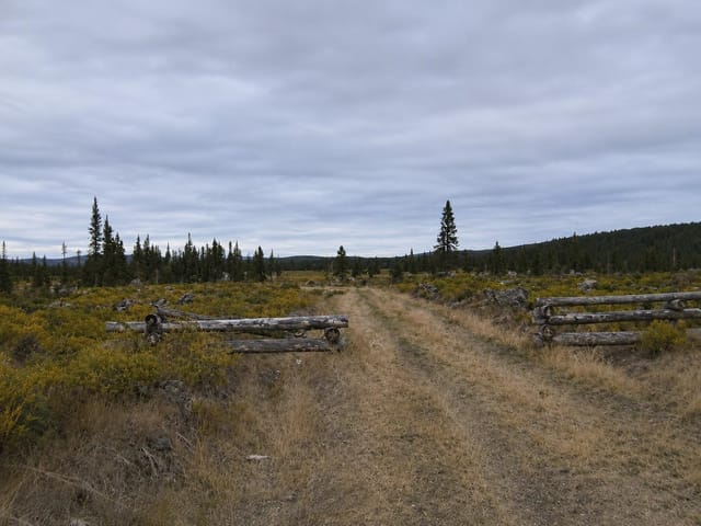 Lot for sale in Williams Lake, Williams Lake, 12252 W Maxwell Creek Road, 263151407 | Realtylink.org