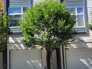 Townhouse for sale in Burnaby, Burnaby South, 107 7533 Gilley Avenue, 263151510 | Realtylink.org