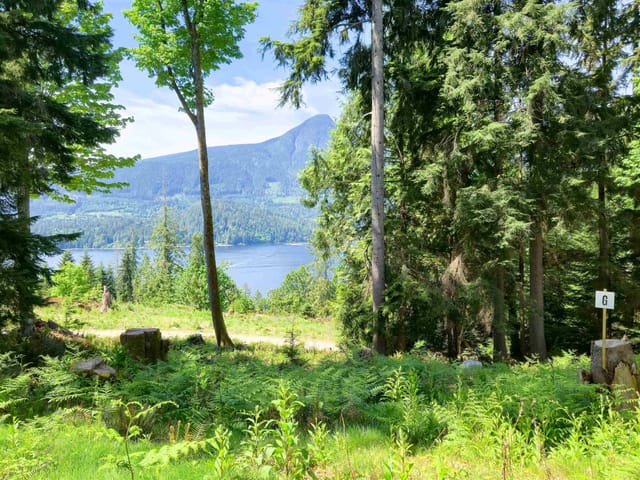 Lot for sale in Gambier Island, Sunshine Coast, Lot G Cotton Bay Road, 263151760 | Realtylink.org