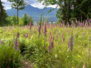 Lot for sale in Gambier Island, Sunshine Coast, Lot I Cotton Bay Road, 263151764 | Realtylink.org