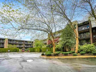 Apartment for sale in Burnaby, Burnaby North, 118 9847 Manchester Drive, 263152174 | Realtylink.org