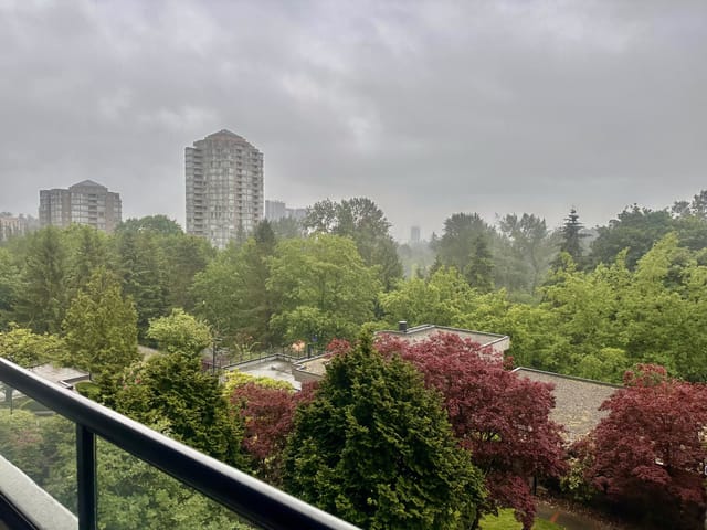 Apartment for rent in Burnaby, Burnaby North, 501 3980 Carrigan Street, 263152241 | Realtylink.org