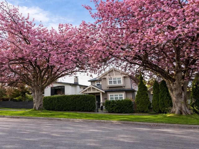 House for sale in Vancouver, Vancouver East, 1171 E 29th Avenue, 263152273 | Realtylink.org
