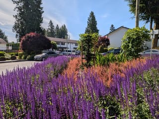 Townhouse for sale in Abbotsford, Abbotsford, 114 32880 Bevan Way, 263152394 | Realtylink.org