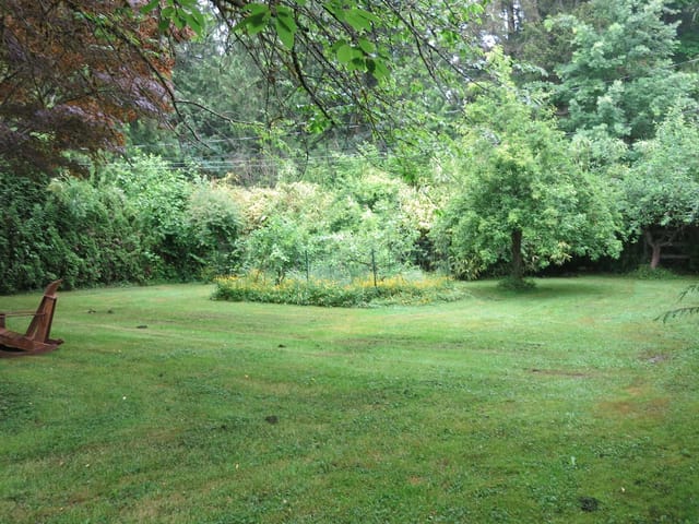 House for sale in Maple Ridge, Maple Ridge, 11709 248 Street, 263153301 | Realtylink.org
