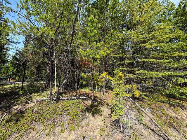 Lot for sale in Sheridan Lake, 100 Mile House, 7083 Salter Road, 263153910 | Realtylink.org