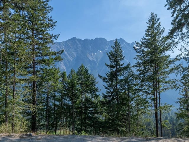 Lot for sale in Pemberton, Pemberton, 8206 Merlot Peak Drive, 263153932 | Realtylink.org