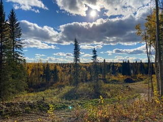 Lot for sale in Vanderhoof, Vanderhoof And Area, 12521 Braeside Road, 263154145 | Realtylink.org