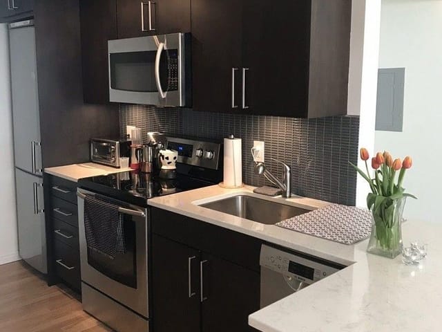 Apartment for rent in Vancouver, Vancouver West, 212 1940 Barclay Street, 263154468 | Realtylink.org