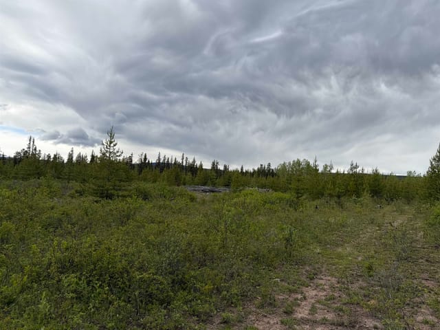 Lot for sale in Telkwa, Smithers And Area, Dl 706 Walcott Road, 263154491 | Realtylink.org