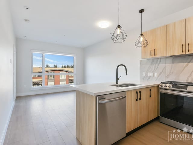 Apartment for rent in Surrey, Surrey, 306 14858 60 Avenue, 263154556 | Realtylink.org