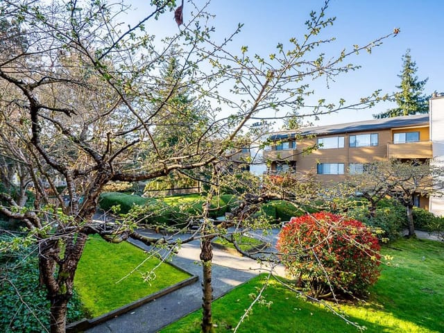 Apartment for sale in Richmond, Richmond, 254 7293 Moffatt Road, 263156186 | Realtylink.org