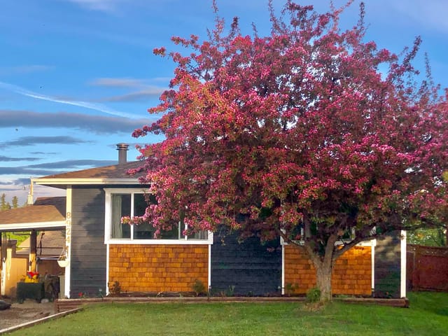 House for sale in Fort St. John, Fort St. John, 8924 88 Street, 263156457 | Realtylink.org