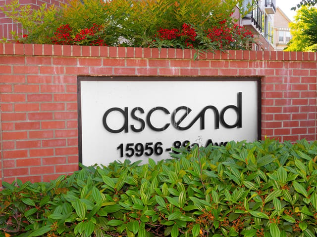 Apartment for sale in Surrey, Surrey, 304 15956 86a Avenue, 263156697 | Realtylink.org