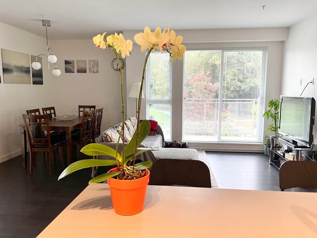 Apartment for rent in Surrey, North Surrey, 314 13963 105 Boulevard, 263156796 | Realtylink.org