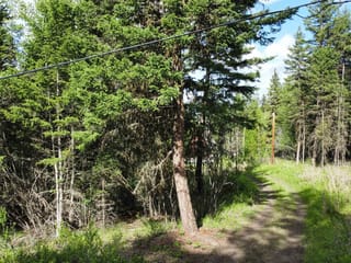 Lot for sale in Williams Lake, Williams Lake, 1407 Esler Road, 263156799 | Realtylink.org