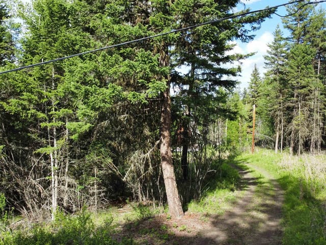 Lot for sale in Williams Lake, Williams Lake, 1407 Esler Road, 263156799 | Realtylink.org
