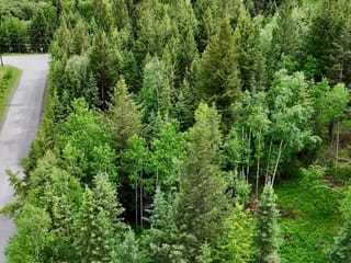 Lot for sale in Williams Lake, Williams Lake, Lot a Big Lake Road, 263156831 | Realtylink.org