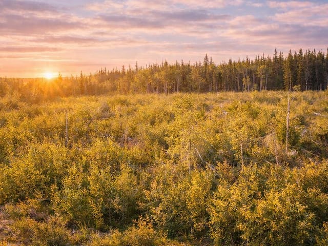 Lot for sale in Vanderhoof, Vanderhoof And Area, 1575 Nechako Avenue, 263157164 | Realtylink.org