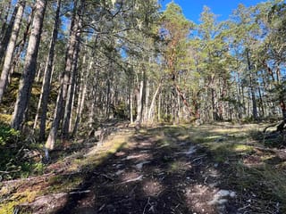 Lot for sale in Garden Bay, Sunshine Coast, 13607 Lee Road, 263157165 | Realtylink.org