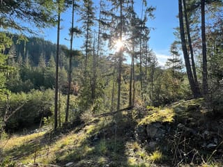Lot for sale in Garden Bay, Sunshine Coast, 13830 Sakinaw Drive, 263157168 | Realtylink.org