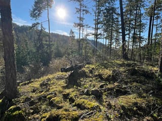 Lot for sale in Garden Bay, Sunshine Coast, 13808 Sakinaw Drive, 263157170 | Realtylink.org