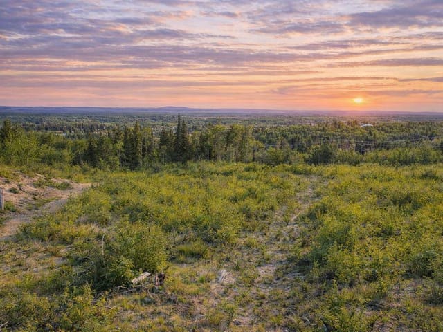 Lot for sale in Vanderhoof, Vanderhoof And Area, 1502 Hobson Road, 263157235 | Realtylink.org