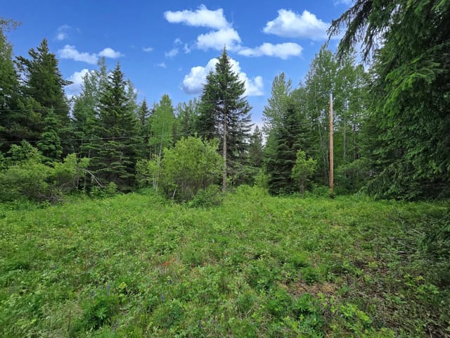 Lot for sale in Horsefly, Williams Lake, Lot 9 Dl8982 Day Road, 263157320 | Realtylink.org